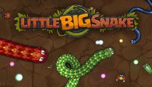 Little Big Snake