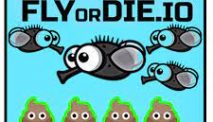 Fly Or Die