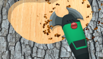 WoodCraft