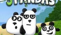 3 Pandas